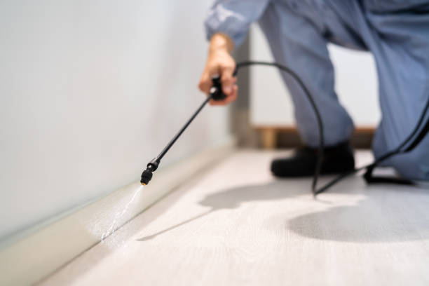 Bed Bug Pre-Treatment Preparation Assessment in New London