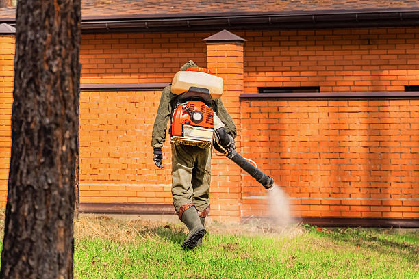 Bed Bug Clearance Verification and Documentation in New London